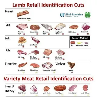 thumbnail for publication: Lamb and Variety Meat Retail Identification Cuts